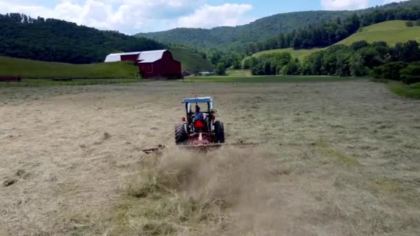 Lady Farmer Rakes Hay Sugar Grove Carolina Del Norte Cerca — Vídeo de stock