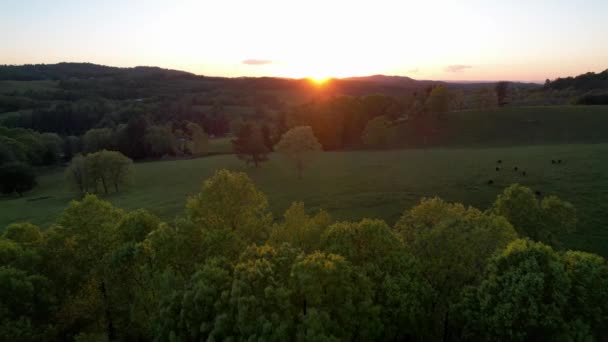 Lente Poussée Aérienne Sur Cime Des Arbres Près Fantaisie Écart — Video