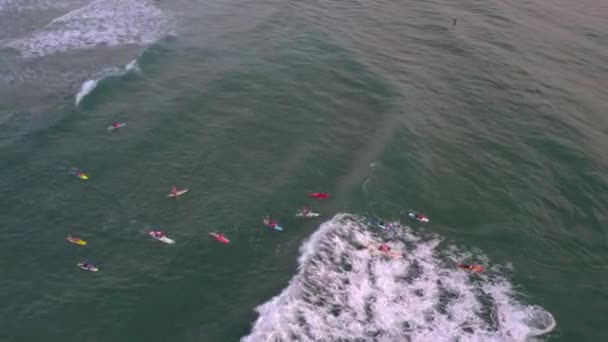 人気のマーメイドビーチゴールドコーストでの水の安全性と朝のトレーニングセッション中に海に漕ぎ出すボード上のニッパーのグループを見下ろす空中の景色 Qld Australia — ストック動画