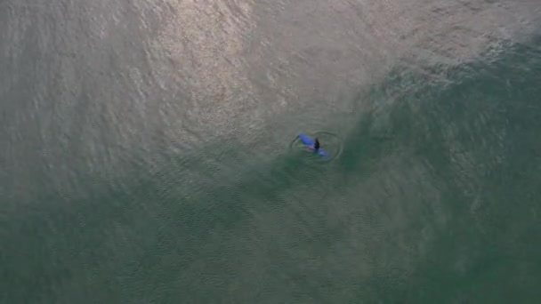 Vista Aérea Acima Surfista Sentado Tranquilo Oceano Matinal Admirando Nascer — Vídeo de Stock
