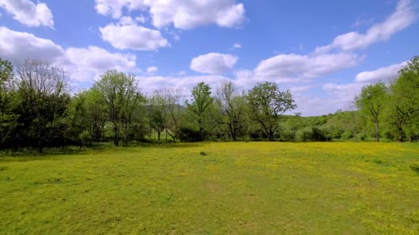 Flowers Pasture Aerial Springtime Mountain City Tennessee — Stock Video