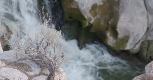 Видео Коулдрона Лина Весной 2022 Года Река Снаке Питает Участок — стоковое видео