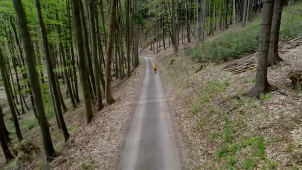 Прекрасне Відео Горбистої Місцевості Видно Горбистий Ліс Дорогу Видно Посеред — стокове відео