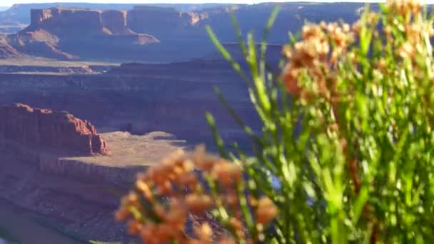 Slider Shot Canyons Rock Formations Dead Horse Point — Vídeo de stock