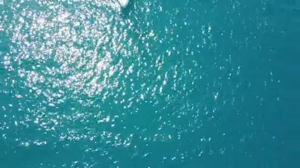 Lungarno Alberto Sordi Nin Sonundaki Baracchina Yakınlarında Tekne Manzarasının Altından — Stok video