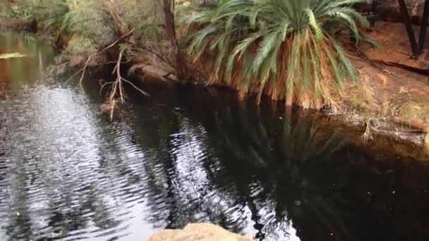 Een Lichte Bries Veroorzaakt Zachte Rimpelingen Het Kalme Water Een — Stockvideo