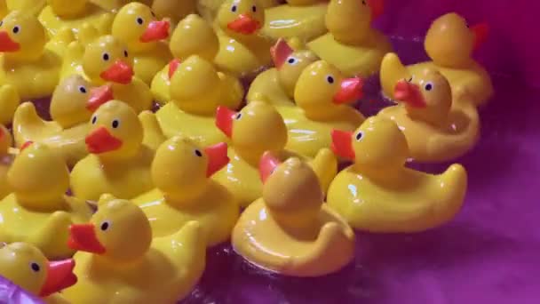 在澳大利亚昆士兰州皇家博览会Ekka Brisbane举行的受欢迎的狂欢节上 漂浮在水面上的黄色橡胶鸭 — 图库视频影像