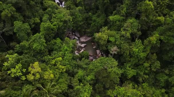 Drohnenflug Durch Regenwald Und Gebirgswasserfall Eine Luftaufnahme Thailand Sadet Wasserfallgebiet — Stockvideo