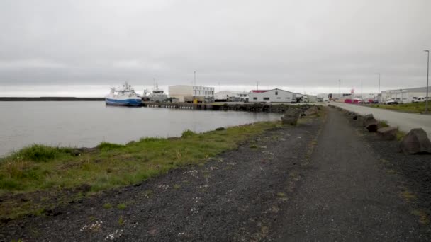 Zwarte Stenen Pad Grindavik Ijsland Met Gimbal Video Die Naar — Stockvideo