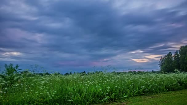 春の間に木々に囲まれた緑の草原にタイムラプスで吹いている暗い雲の低角度ショット — ストック動画