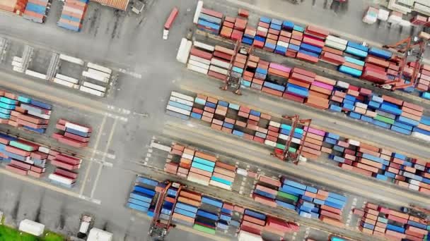 Gestapelde Rode Blauwe Containers Terminal Wereldwijde Logistiek Roulatie Boven Het — Stockvideo