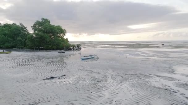 Walakiri Sahili Sumba Adası Doğu Endonezya — Stok video