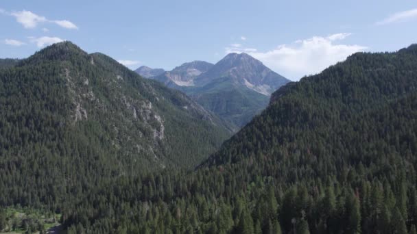 Hermosas Montañas Wasatch American Fork Canyon Día Verano Aéreo — Vídeos de Stock