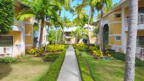 Beautiful Drone Shot Flying Buildings Walkway Palm Trees Sides — Stock Video