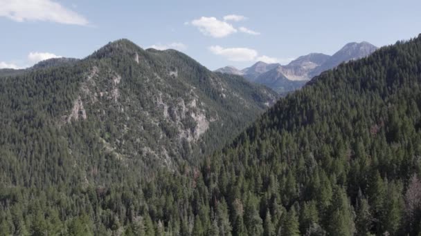 American Fork Canyon Wasatch Mountains Summer Utah Day Aerial Drone — 비디오