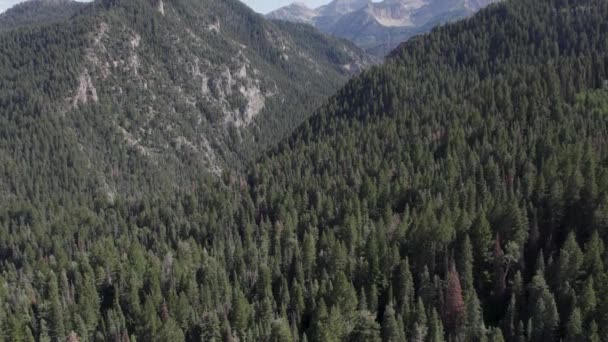 Wasatch Hegység American Fork Canyon Hihetetlen Aerial Drone View — Stock videók