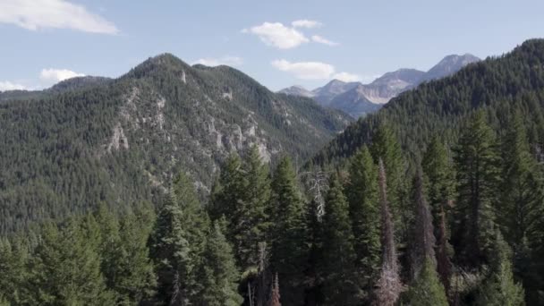 Vuelo Aéreo Sobre Beautiful Tall Peak Ridge Las Montañas Wasatch — Vídeos de Stock