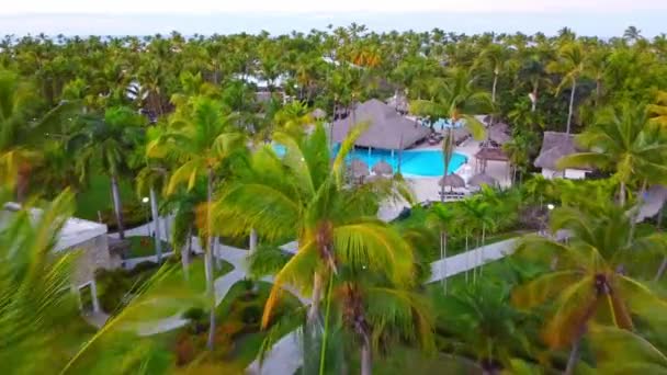 Авіаційний Безпілотник Літає Над Пальмами Домініканської Республіки Дивиться Океан Пристані — стокове відео