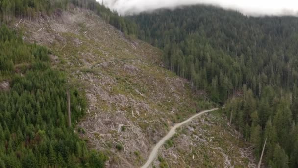 Desmatamento Cercado Por Uma Floresta Antiga Perto Port Renfrew Colúmbia — Vídeo de Stock