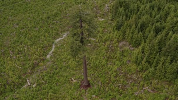 캐나다에서 번째로 둔덕인 더그는 번째로 농장에서 소리를 — 비디오