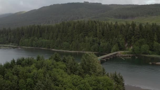 Drone Lecący Kierunku Mostu Port Renfrew Kolumbia Brytyjska Pochmurny Dzień — Wideo stockowe