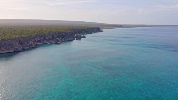 Serene Oceanとの頑丈な海岸Bahia Las Aguilas Pedernales Republic Dominicana 空中ワイドショット — ストック動画