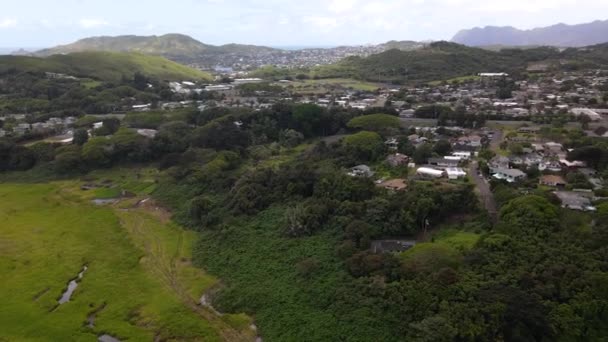 Dron Záběry Havaje Oahu Full — Stock video
