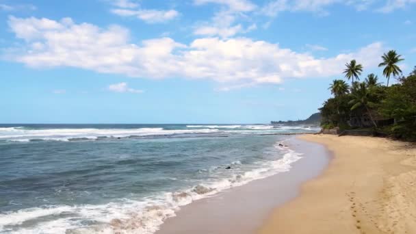 Drone Beelden Van Hawaï Oahu Volledig — Stockvideo