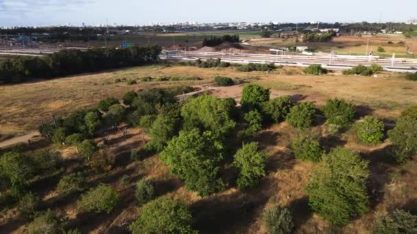 Drone Sobrevoando Parque Olhando Através Estrada Principal Campos Circundantes — Vídeo de Stock