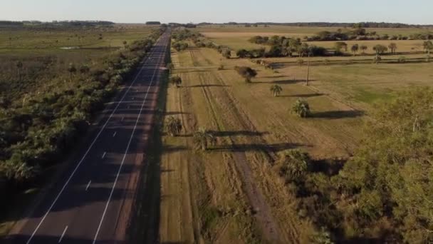 Drone Shot Car Driving Rural Road Sunset Uruguay Podróżowanie Malowniczej — Wideo stockowe