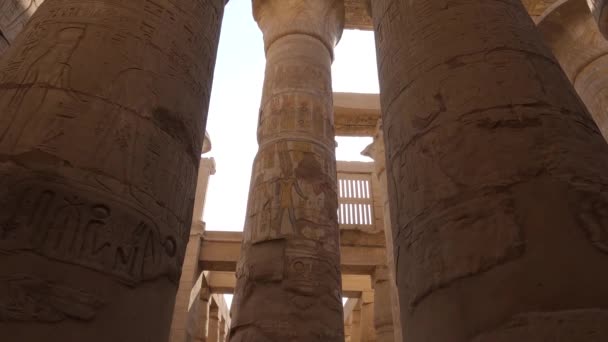 Mirando Hacia Arriba Las Columnas Arenisca Complejo Del Templo Karnak — Vídeos de Stock
