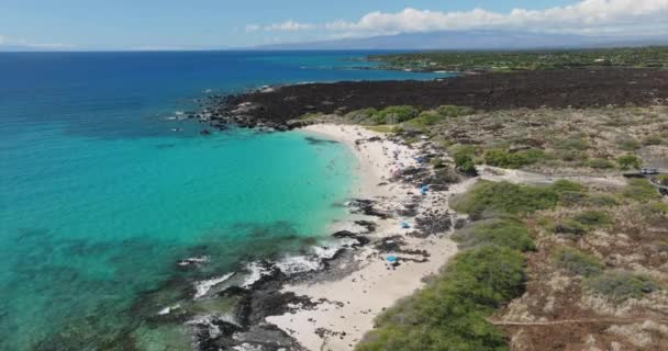 Flug Über Lavafeld Einem Unberührten Strand Auf Hawaii — Stockvideo