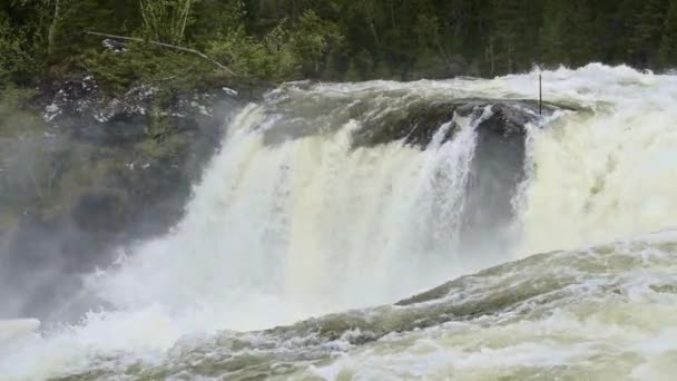 Sverige Vattenfall Ristafallet Nära — Stockvideo