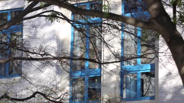 Janelas Exteriores Sala Pacientes Hospital Apartamento Prédio Escritórios Como Visto — Vídeo de Stock