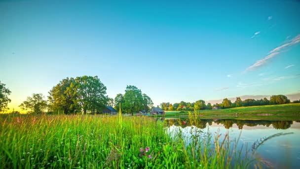 Timelapse Shot Few Cottages Small Lake Surrounded Lush Green Vegetation — Stock Video