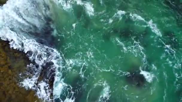 Pirate Tower Tide Pools Victoria Beach Laguna Beach Usa Birds — Vídeos de Stock
