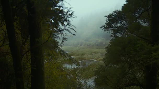 Dream Lake Menghuan Est Entre Deux Pins Géants Dans Montagne — Video