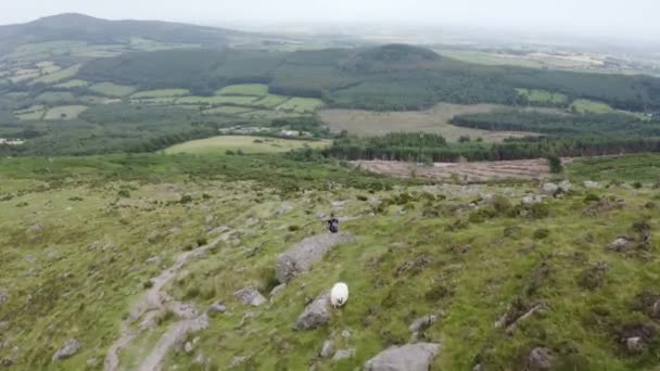 トレイル上のハイカーと一緒に山の羊の放牧の空中ビュー アイルランドのウォーターフォード州クムシニョーン — ストック動画