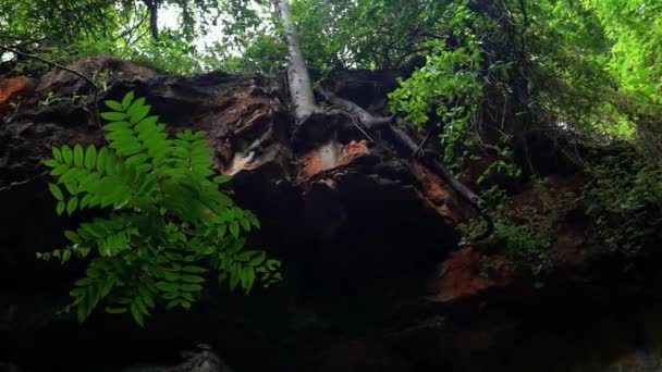 Mano Cámara Lenta 120 Fps Disparo Una Pared Acantilado Tropical — Vídeos de Stock