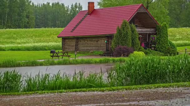 赤い屋根と煙突のある美しい小さな木造の家の緑豊かなフィールド — ストック動画