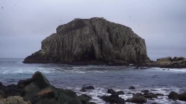Rocky Shoreline Coastal Islet Seaside Algarrobo Chile Портативный — стоковое видео