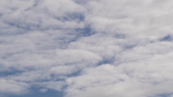 Uçsuz Bucaksız Mavi Gökyüzü Kaplumbağa Hızında Hareket Eden Bulutlarla Dolu — Stok video