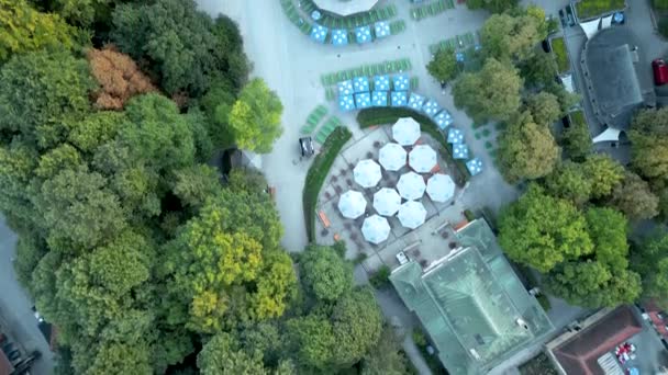 Luchtfoto Van Chinese Toren Munitiepark Grote Centrale Biertuin Engelse Tuin — Stockvideo