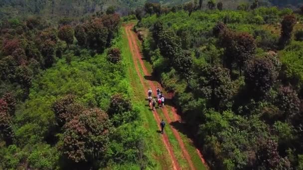 野生動物のトラックを歩くバッカーは ケニアのエルゴン トレックの鬱蒼とした森を通り過ぎる 空中ドローンショット — ストック動画