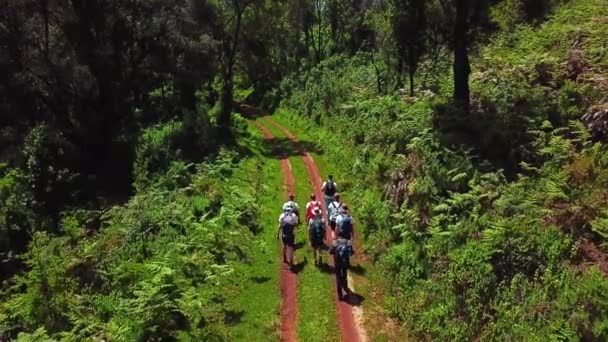 Skupina Turistů Horských Stezkách Projíždějících Shaggy Forest Národním Parku Mount — Stock video