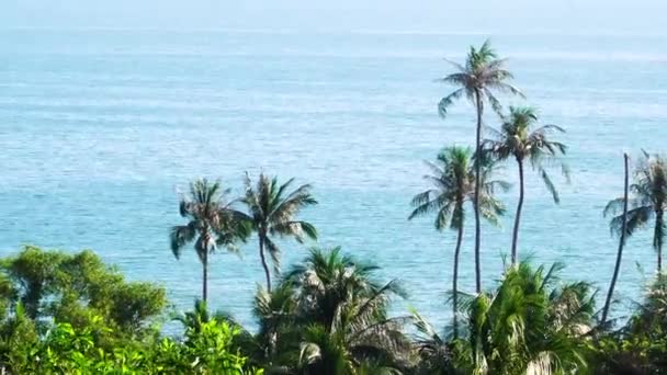 Blick Über Die Tropische Stadt Mui Strand Der Vietnamesischen Küste — Stockvideo