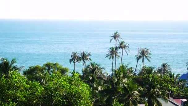 Palme Tropicali Mare Blu Dal Lungomare Hotel Estate Vietnam Ampia — Video Stock