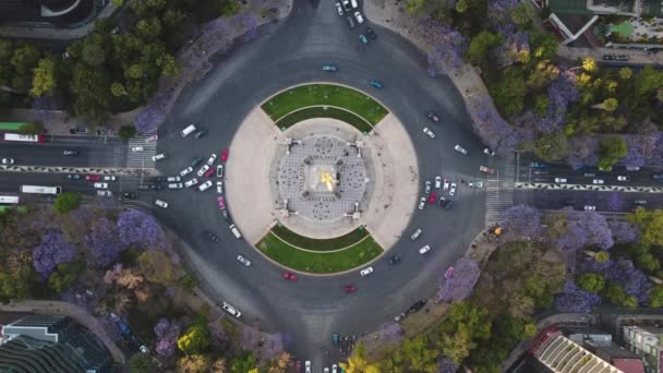 Overhead Girato Rotonda Monumento Angelo Indipendenza Occupato Con Automobili Messico — Video Stock