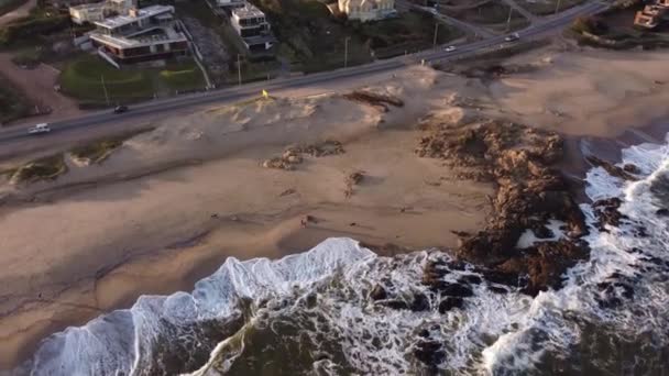 Luftaufnahme Von Menschen Mit Hunden Beim Gassigehen Sandstrand Vor Dem — Stockvideo