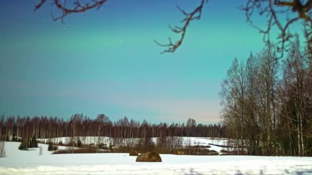 Звезды Северное Сияние Ночном Небе Над Снежным Ландшафтом Зимой Timelapse — стоковое видео